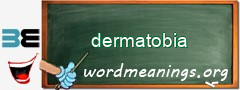 WordMeaning blackboard for dermatobia